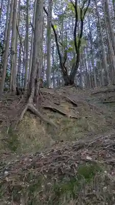 宮形神社(奈良県)