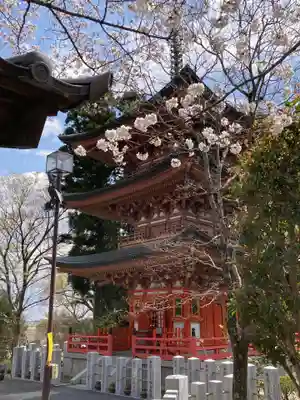 布施弁天 東海寺(千葉県)
