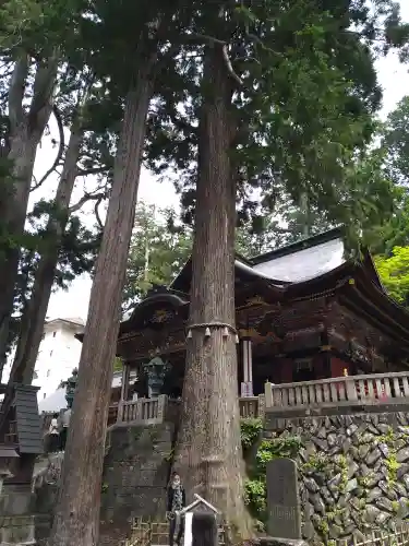 三峯神社の自然