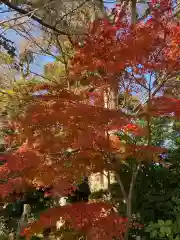 比々多神社の自然