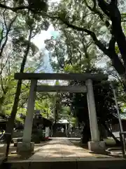 碑文谷八幡宮の鳥居