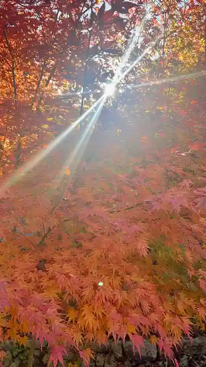 正寿院(京都府)