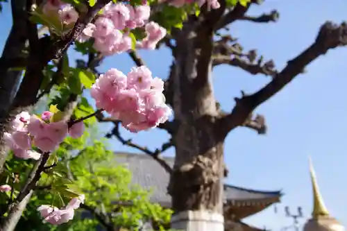 福王山  慈眼寺(東京都)