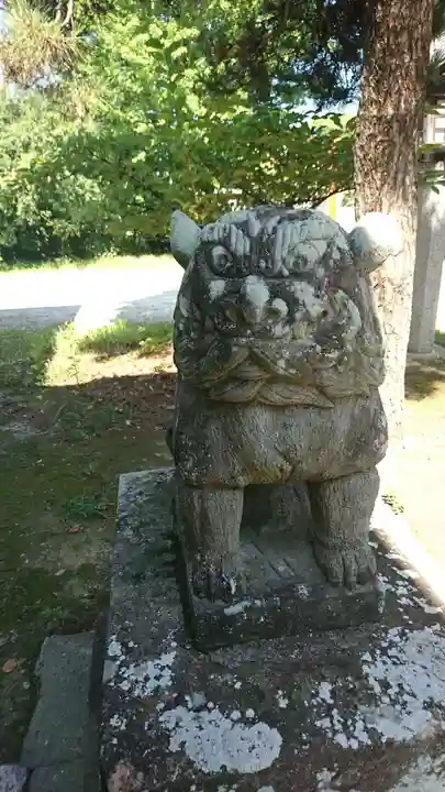 天神社の狛犬