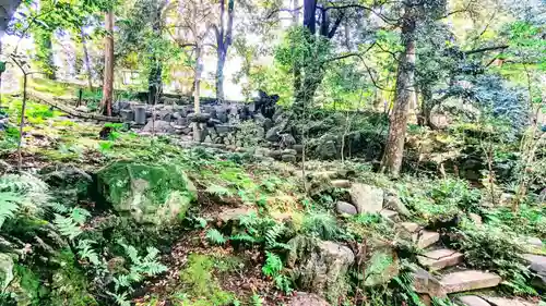 赤坂氷川神社の自然