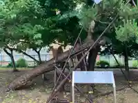 江南神社(北海道)