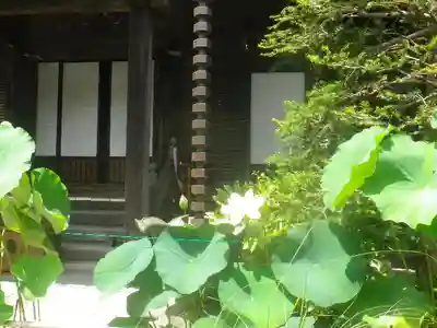 大巧寺の本殿・本堂