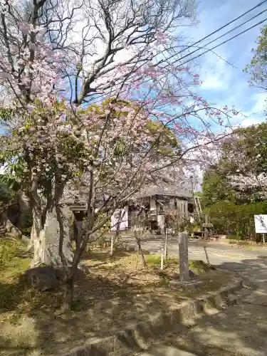 阿智神社の庭園