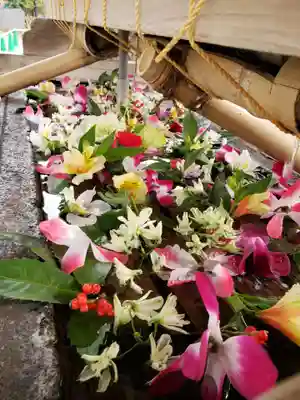 鳩森八幡神社の手水舎