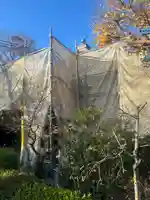 元慶寺(京都府)