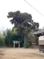 保食神社(千葉県)