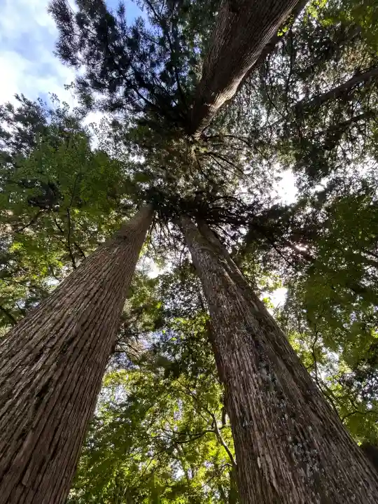 富士山東口本宮 冨士浅間神社(静岡県)