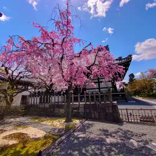 妙顯寺（妙顕寺）(京都府)