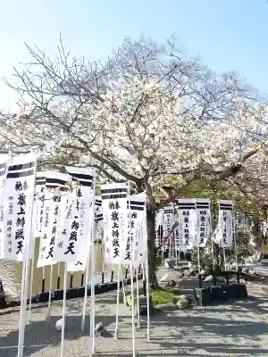 旗上弁財天社の{uncategorized: "未分類", other: "その他", undefined: "問題あり", building: "その他建物", grave: "お墓", sacred_gate: "鳥居", guardian: "狛犬", statue: "像", buddha: "仏像", history: "歴史", nature: "自然", garden: "庭園", animal: "動物", pagoda: "塔", temizu: "手水舎", mountain_gate: "山門・神門", sanctuary: "本殿・本堂", subordinate: "末社・摂社", art: "芸術", scenery: "景色", jizo: "地蔵", ema: "絵馬", goshuin: "御朱印", omikuji: "おみくじ", items: "授与品その他", amulet: "お守り", goshuincho: "御朱印帳", eats: "食事", festival: "お祭り", votive_dance: "神楽", shichigosan: "七五三参", wedding: "結婚式", experience: "体験その他", initially: "初詣", around: "周辺", anti_infection: "感染症対策"}