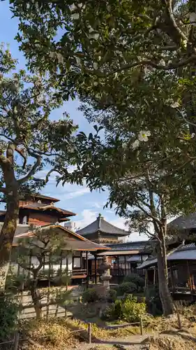 本願寺（西本願寺）(京都府)