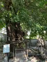 堤治神社(愛知県)