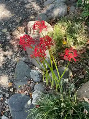 竜門寺(群馬県)