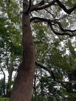 今宿神明社の{uncategorized: "未分類", other: "その他", undefined: "問題あり", building: "その他建物", grave: "お墓", sacred_gate: "鳥居", guardian: "狛犬", statue: "像", buddha: "仏像", history: "歴史", nature: "自然", garden: "庭園", animal: "動物", pagoda: "塔", temizu: "手水舎", mountain_gate: "山門・神門", sanctuary: "本殿・本堂", subordinate: "末社・摂社", art: "芸術", scenery: "景色", jizo: "地蔵", ema: "絵馬", goshuin: "御朱印", omikuji: "おみくじ", items: "授与品その他", amulet: "お守り", goshuincho: "御朱印帳", eats: "食事", festival: "お祭り", votive_dance: "神楽", shichigosan: "七五三参", wedding: "結婚式", experience: "体験その他", initially: "初詣", around: "周辺", anti_infection: "感染症対策"}