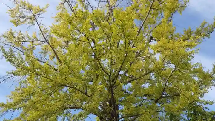 宇原神社(福岡県)