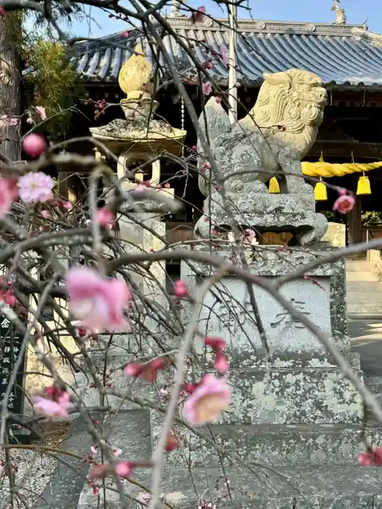 福良八幡神社(兵庫県)