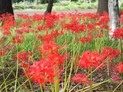 祖光院(千葉県)
