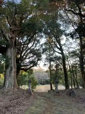 皇産霊神社の自然