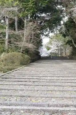 光明寺（粟生光明寺）(京都府)