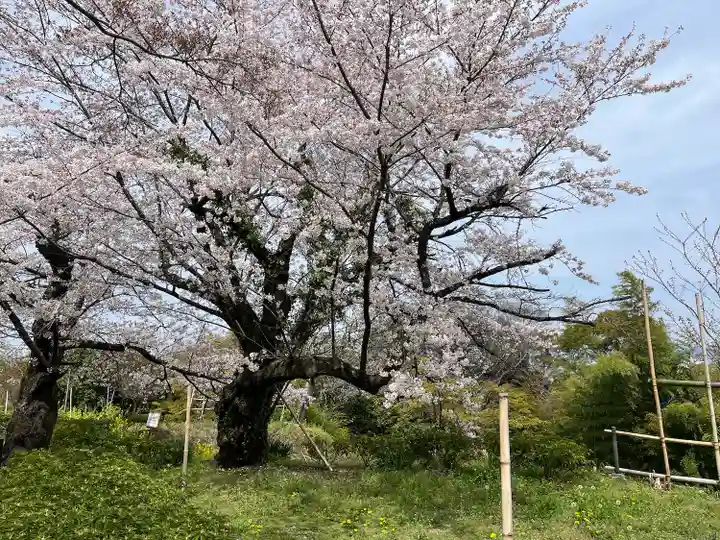 石清水八幡宮(京都府)