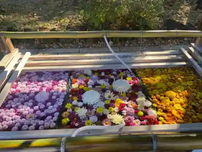 笠間稲荷神社の手水舎