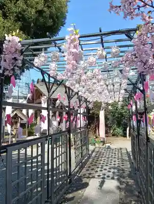 相模原氷川神社の{uncategorized: "未分類", other: "その他", undefined: "問題あり", building: "その他建物", grave: "お墓", sacred_gate: "鳥居", guardian: "狛犬", statue: "像", buddha: "仏像", history: "歴史", nature: "自然", garden: "庭園", animal: "動物", pagoda: "塔", temizu: "手水舎", mountain_gate: "山門・神門", sanctuary: "本殿・本堂", subordinate: "末社・摂社", art: "芸術", scenery: "景色", jizo: "地蔵", ema: "絵馬", goshuin: "御朱印", omikuji: "おみくじ", items: "授与品その他", amulet: "お守り", goshuincho: "御朱印帳", eats: "食事", festival: "お祭り", votive_dance: "神楽", shichigosan: "七五三参", wedding: "結婚式", experience: "体験その他", initially: "初詣", around: "周辺", anti_infection: "感染症対策"}