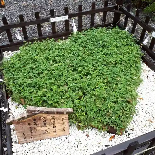 長良神社の庭園