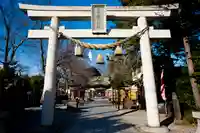鎮守氷川神社の鳥居