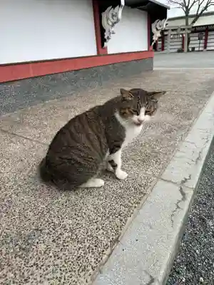 篠崎八幡神社(福岡県)