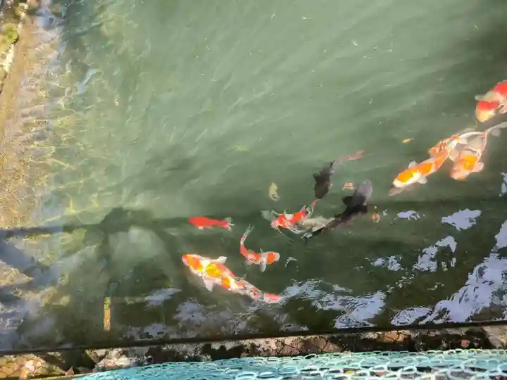 天鷹神社(岐阜県)