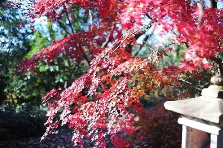 浄土寺(兵庫県)