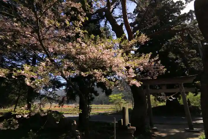 御札神社の景色