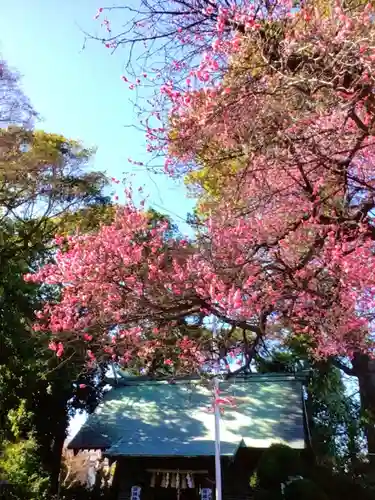 田端神社(東京都)
