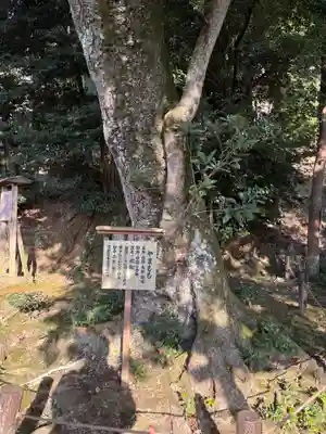 金福寺(京都府)