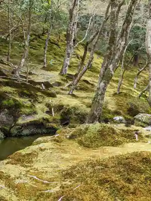 慈照寺(慈照禅寺・銀閣寺)の周辺