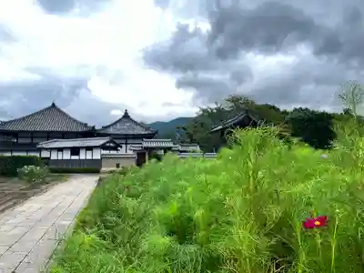飛鳥寺(奈良県)