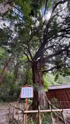 小國神社(静岡県)
