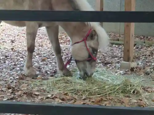 平塚八幡宮(神奈川県)