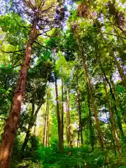 鹿島神社(茨城県)