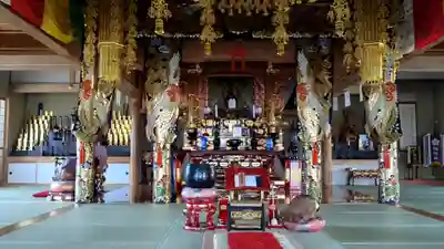 隆国寺の本殿・本堂
