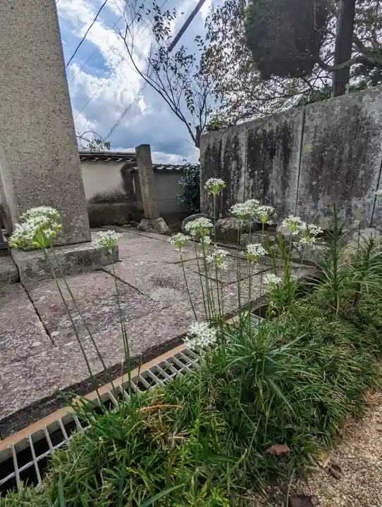 瑞雲寺(岡山県)