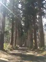 戸隠神社奥社(長野県)