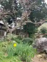 国上寺(新潟県)