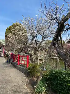 亀戸天神社(東京都)