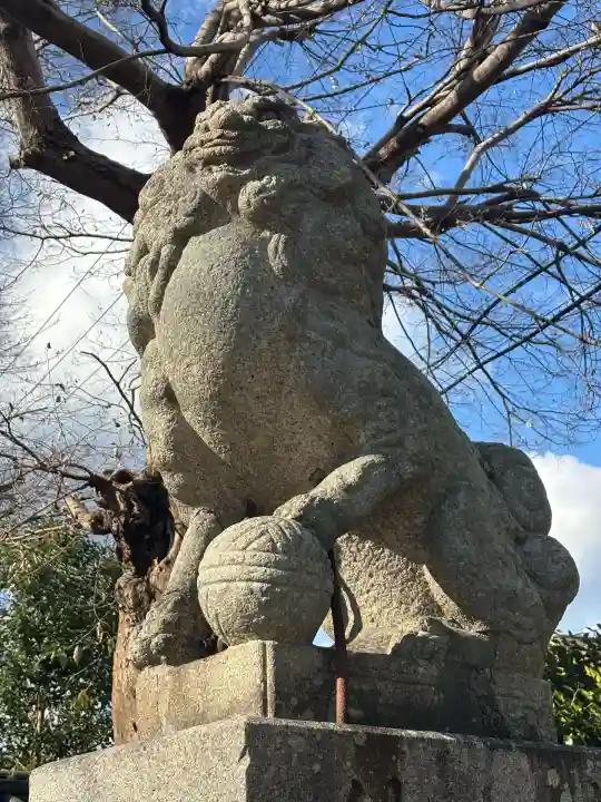 膳所神社の狛犬
