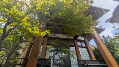 妙玄寺(京都府)